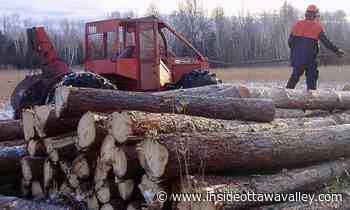 'To improve forest health and species diversity': Forest thinning at Kemptville Campus to begin in December - Ottawa Valley News
