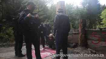 B.C. forest company says rule of law must apply to ongoing protests at Fairy Creek - CTV News VI