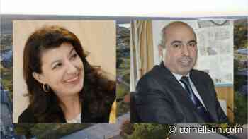 Two Professors From Iraq Discuss Baghdad Architecture in Webinar - Cornell University The Cornell Daily Sun