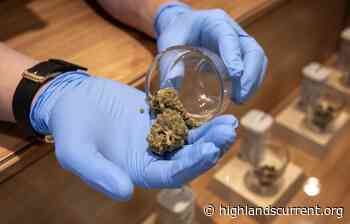 Nelsonville Residents Back Ban on Cannabis Retail - Highlands Current