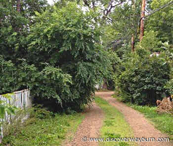 Weyburn Police On Overgrown Vegetation in Back Alleys - DiscoverWeyburn.com