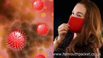 Coronavirus in Cornwall update: Saturday, November 20 2021 - Falmouth Packet