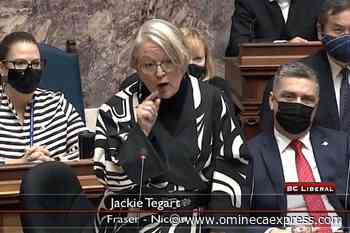 Animal feed airlift coming to flooded Fraser Valley farms, minister says – Vanderhoof Omineca Express - Omineca Express