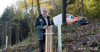 Hirschberg: Revierleiter stellte den Forstwirtschaftsplan vor - Rhein-Neckar Zeitung