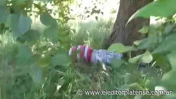 Macabro: encontraron un cuerpo en la Autopista La Plata - Buenos Aires – El Editor Platense - El Editor Platense