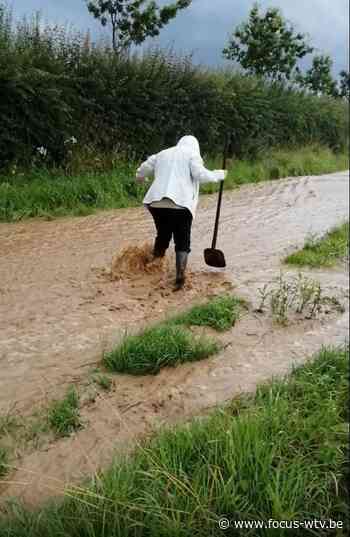 Heuvelland slikt 55 liter regen, er ontstaan modderstromen - Focus en WTV