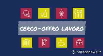 Offerta di lavoro - Barista - Oderzo (TV) - Horeca News