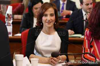 Comune Vibo, Scrugli bacchetta la maggioranza e richiama la sua opera da ex assessore - Il Vibonese