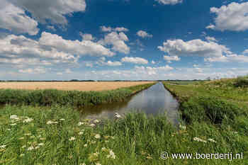 Brussel: 6 landen moeten meer doen voor nitraatrichtlijn - Boerderij