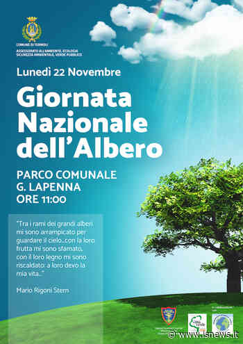 Termoli, tutto pronto per la Giornata nazionale dell'Albero - isnews