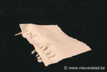 Expo Belicht in de Vitrine