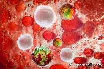 Combating Antibiotic Resistance – A Major Global Health Threat