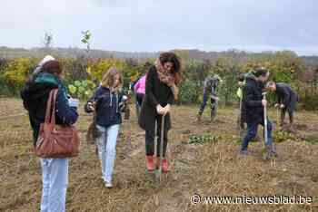 Boekhoudkantoor plant eigen bedrijfsbos, en krijgt hiervoor de hulp van Saartje Vandendriessche