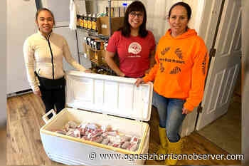 Skwah First Nation rallies to help elders near Chilliwack – Agassiz Harrison Observer - Agassiz Harrison Observer