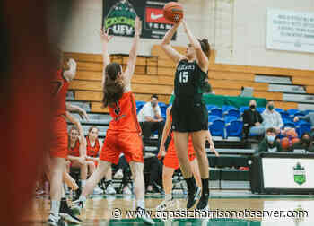 Chilliwack's Deanna Tuchscherer heating up for UFV women's basketball team – Agassiz Harrison Observer - Agassiz Harrison Observer