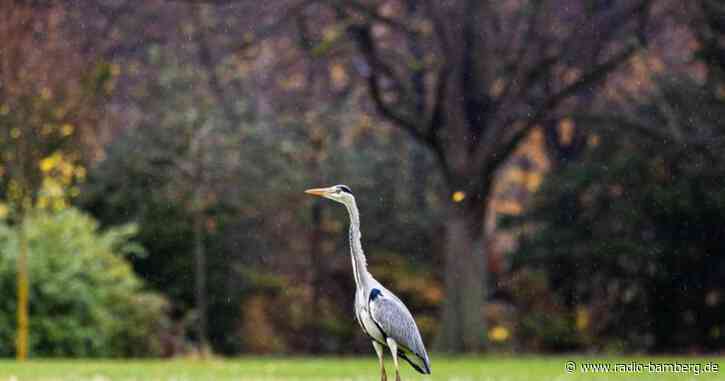 Tief «Wolfgang» sorgt für Kälte in Teilen Deutschlands