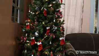 “Decade of Trees” is Christmas theme for Dawson County Historical Museum - Lexington Clipper Herald