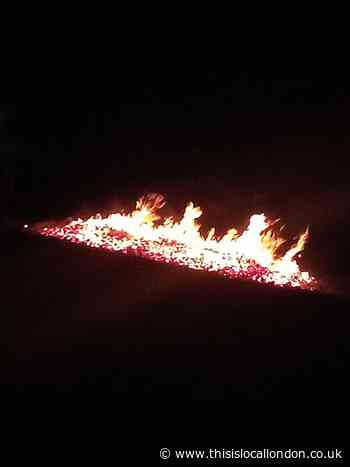 Bonfire Night Horley 2021-Imogen Dearlove MersthamParkSchool
