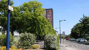 Arras : il proposait 2 € à des petites filles pour qu'elles montent chez lui - La Voix du Nord