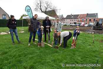 Camille Marchantplein wordt groene oase