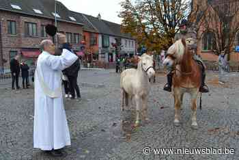 45 paarden en 25 honden gewijd