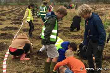 Eerste bomen van nieuw bos in Molenbeekvallei zitten in de grond - Gazet van Antwerpen