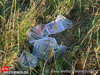 Partij kranten gedumpt in natuurgebied Bovenstreek - Westerwolde actueel
