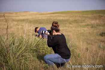 2022 Angus internship applications are now open - AGDAILY