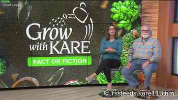 Grow with KARE: Fact or Fiction, week 3