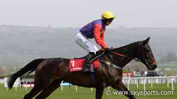 Head-scratcher for Jeremy Scott on next move with Dashel Drasher before Ascot Chase repeat bid - Sky Sports