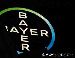 Digital Farming: Bayer und Microsoft kooperieren | proplanta.de - Proplanta - Das Informationszentrum für die Landwirtschaft