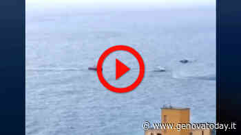 VIDEO | Voltri, 31enne in stato confusionale si getta in mare: elisoccorso in azione - GenovaToday