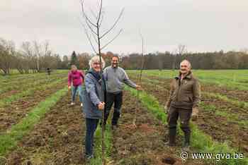 Natuurpunt plant 550 bomen op Smalle Broeken (Kasterlee) - Gazet van Antwerpen Mobile - Gazet van Antwerpen