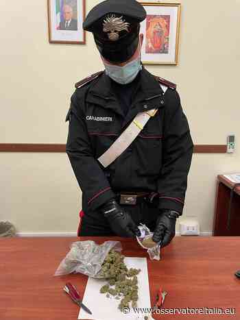 Colleferro, va in giro per il centro con la droga nello zaino ma quando vede i carabinieri inizia a correre: arrestato 22enne - L'Osservatore d'Italia