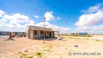 From bowsers to batteries: When demand for petrol dries up, what will happen to servos?