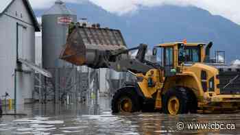 B.C. cleans up, begins rebuilding after disastrous flooding