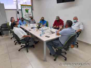Ante aumento de casos, buscan reforzar jornadas de trazabilidad en Los Santos - La Prensa Panamá