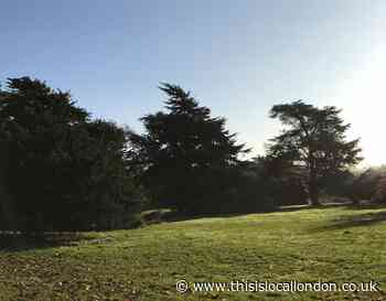Bushy Park - The Home of The Parkrun