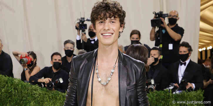 Shawn Mendes Returns to Social Media After Camila Cabello Split With Shirtless Surfing Photos