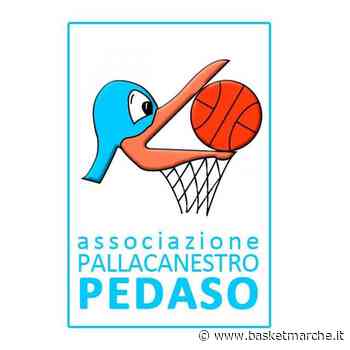 La Pallacanestro Pedaso domina la sfida contro la Vigor Matelica e resta imbattuta - Serie D Regionale Girone B - Basketmarche.it
