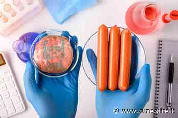 Coldiretti Cuneo: ˝Le cinque bugie della carne 'Frankenstein'˝ - Cuneodice.it