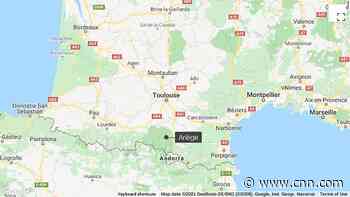 70-year-old hunter in France suffers 'serious' injury after bear encounter