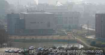 Newly Released Gov Docs Show Researchers Sent Strains of 'Viral DNA' to Wuhan Lab for Years