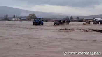 Boat-riding strangers rescue horses out of flooded B.C. farm - Kamloops News - Castanet.net
