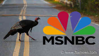 Cruz blasts MSNBC over segment tying Thanksgiving to 'white supremacy' and 'genocide'