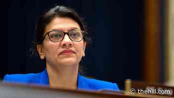 Tlaib 'fearful' as social spending plan heads to Senate