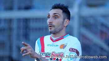 Lodi sul Catania: "Fallimento? Soffrirei tantissimo, ma non voglio pensare a questa ipotesi" - TUTTO mercato WEB