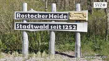 Urlauber verschmutzen Rostocker Heide: Wald als Klo missbraucht: Forstamtsleiter fordert Konsequenzen | nnn.de - svz.de