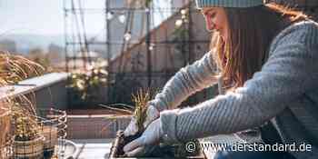 In Zeiten von Corona den Balkon für den Winter fit machen - derStandard.de