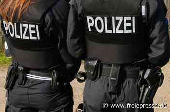 Randale endet in Polizeigewahrsam - Freie Presse